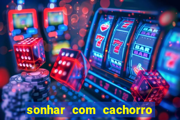 sonhar com cachorro cruzando jogo do bicho